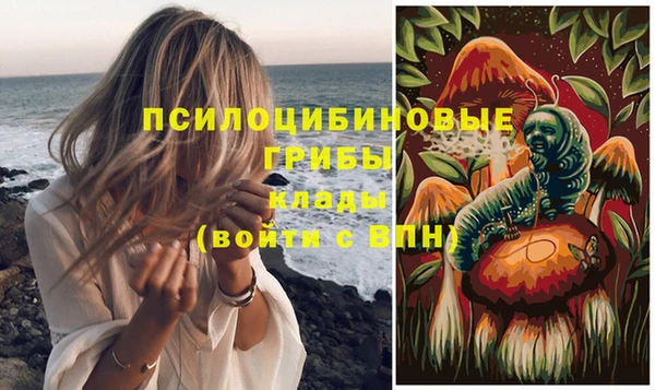 spice Беломорск