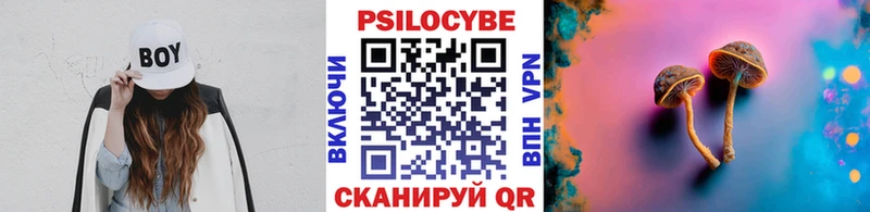Галлюциногенные грибы Psilocybine cubensis  цены   Пестово 